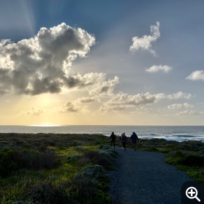Three silhouetted figures walk along a wide gravel path among waist-high foliage. Bright sunrays emit from a thick clouds that obscures the sun itself.
