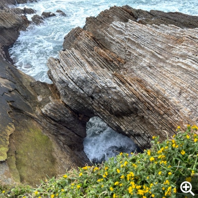 White-capped waves seen through a natural rock arch. Clusters of tiny yellow flowers stand out in the foreground.