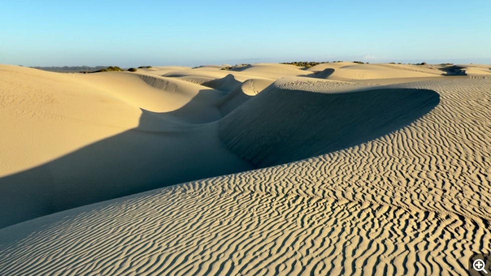 Sinuous sand dunes meander across the landscape. High-contrast shadows create miniscule ridges across the foreground. In the background, the sand dunes are smoother and more uniform under a pale blue sky.