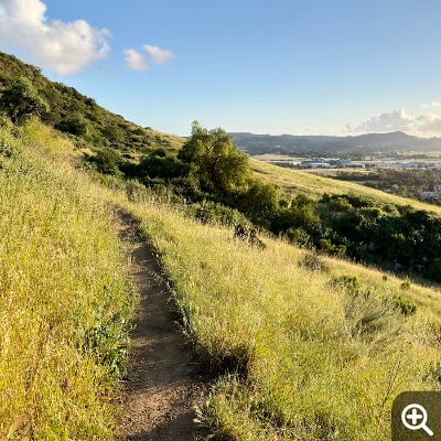 A narrow path cuts through grass, winding to the left as it follows the natural curves of a hill. Trees in the midground indicate its destination, with hills rolling across the horizon.