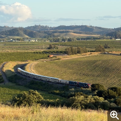 A passenger train rounds a curve as it passes by grape vinyeards at dusk.