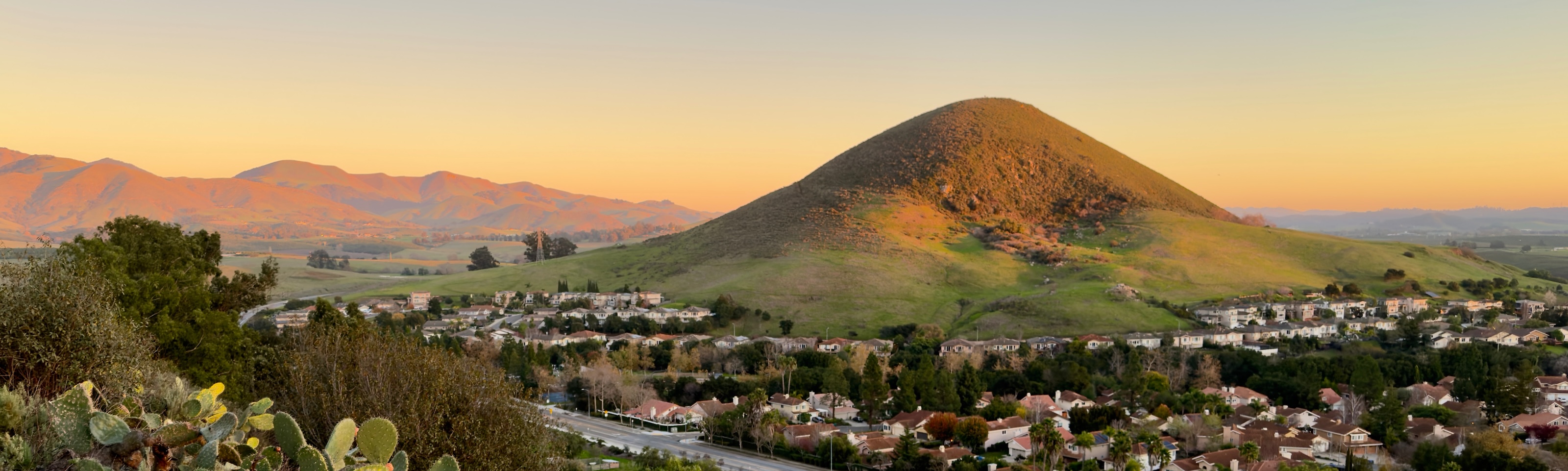 A single brown-orange hill, green with grass at the base, stands out from its surroundings. A residential neighborhood flows around its base. Sun-lit mountains in the background appear orange with blue shadows at sunset. A few wild prickly pair cacti are in the lower left foreground.