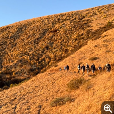 Nine hikers follow a path cutting through yellow, waist-high grass. A clear blue sky allows sunset, not pictured, to bathe the landscape in yellow-orange light.